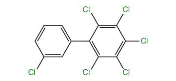 2,3,3',4,5,6-Hexachloro-1,1-biphenyl